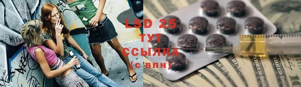 стафф Богородицк