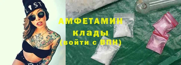 гидра Богородск