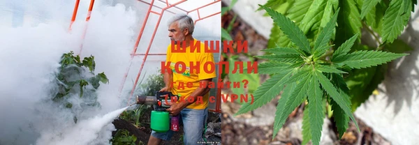 стафф Богородицк
