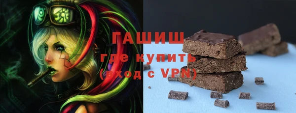 гидра Богородск