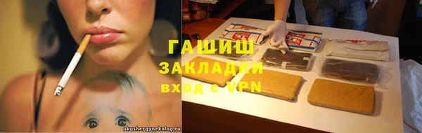 гидра Богородск