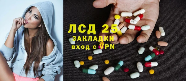 гидра Богородск