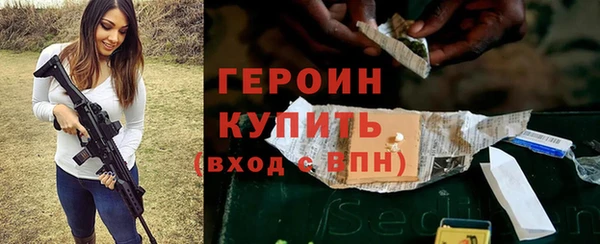 гидра Богородск