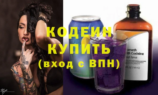 гидра Богородск
