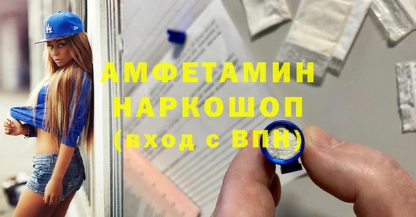 гидра Богородск