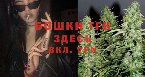 гидра Богородск