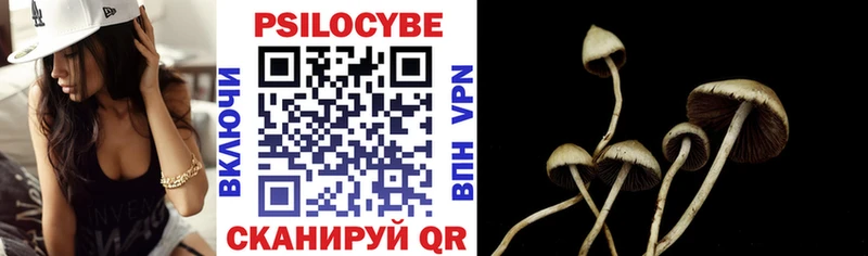 Галлюциногенные грибы Psilocybe  где купить   Михайлов 